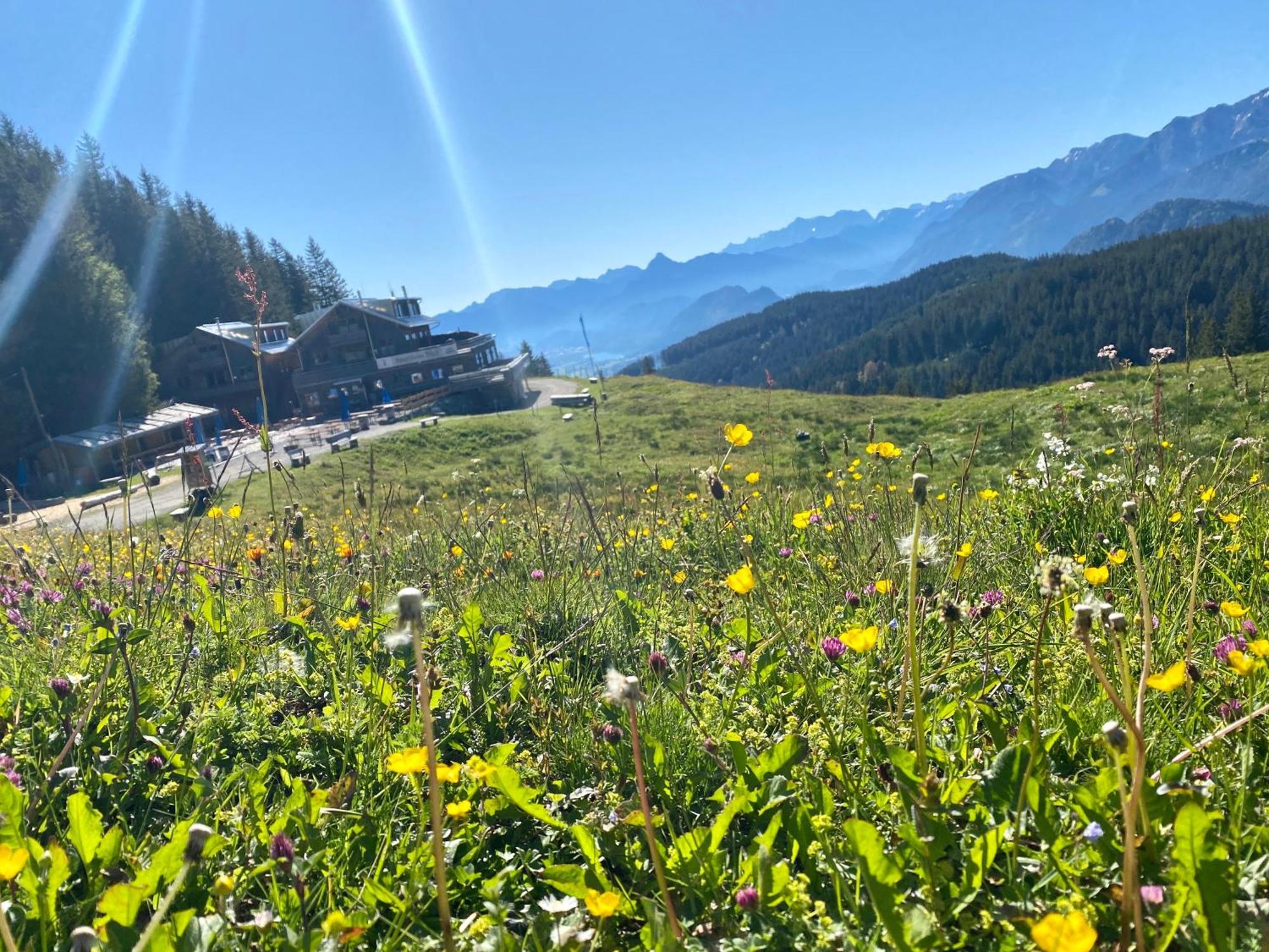 Ferienhaus Sommer Pfronten Εξωτερικό φωτογραφία