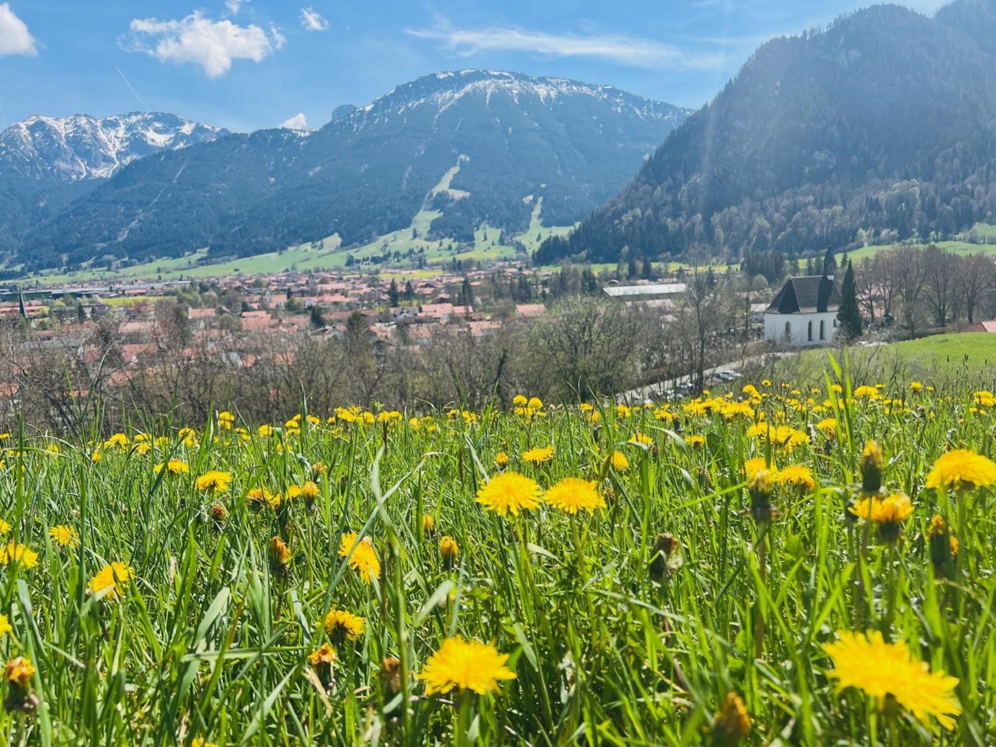 Ferienhaus Sommer Pfronten Εξωτερικό φωτογραφία